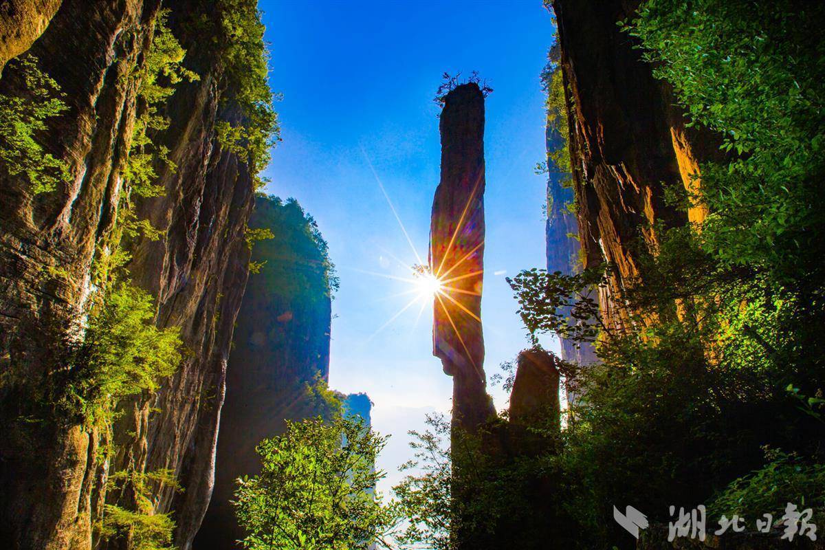 搜狗浏览器